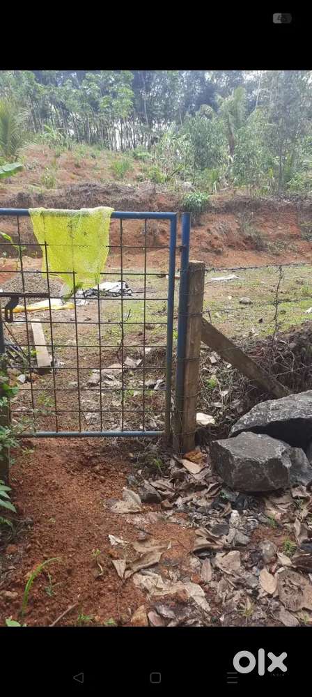 Nadukurish, thiruvaniyoor,3 lakh per cent