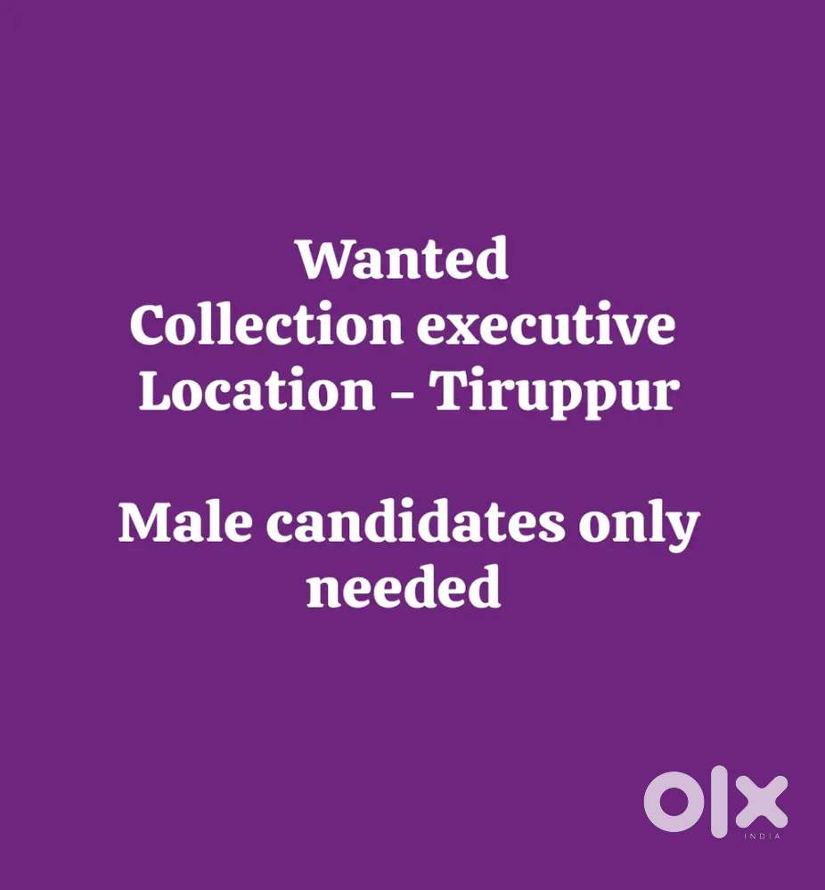 Collection Executive