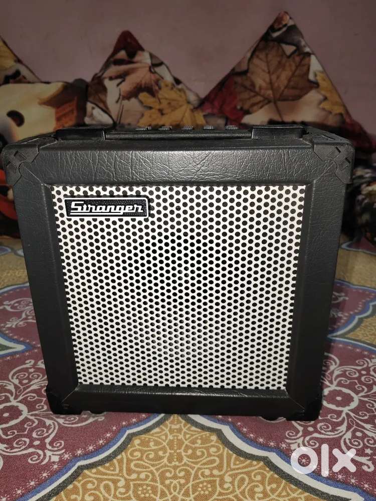 Stranger Guitar Amplifier