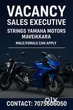 Field sales executive