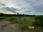 Plot for sale in doiwala