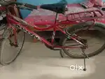 Cycle  of Ayon