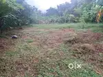 5 cents   ,10 cents plots available 11 lakh per cent