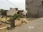 2 raaste ka 250 varg gaj plot on Nawalgarh road