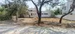 Land For Sale @ vadavalli, Maharani Avenue
