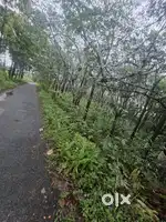 കോതമംഗലം 4 ഏക്കർ റബ്ബർ തോട്ടം വില്പനക്ക് ***