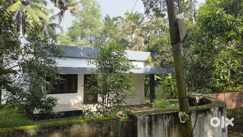 വാടക വീട് ചേർത്തല കെവിഎം ഹോസ്പിറ്റൽ കിഴക്കുവശം