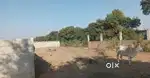 A residential  plot covered by boundary wall available .