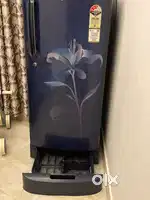 Lg freeze with extra vegetable rack