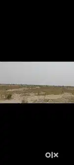 10.5 bigha Agricultural land in unnao Pahi village