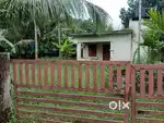 Land and house For Sale (8 Cent) Koratty