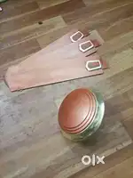 Ceiling fan