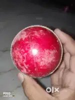 Cricket ball leather