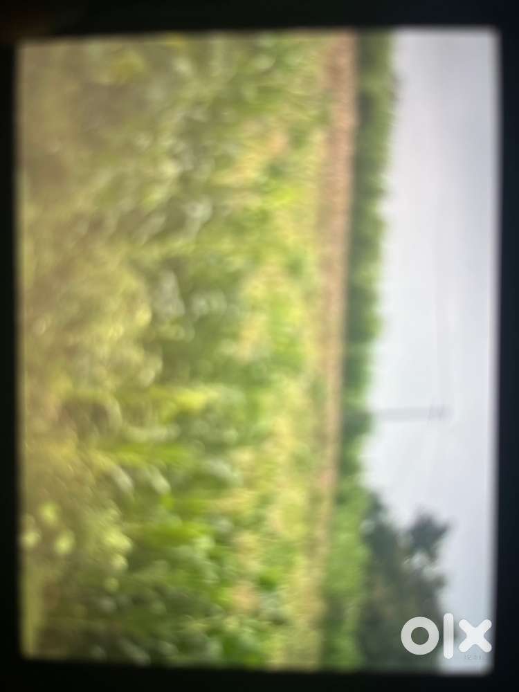 Agriculture land 4 cunta