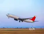 Candidate required for airport Job