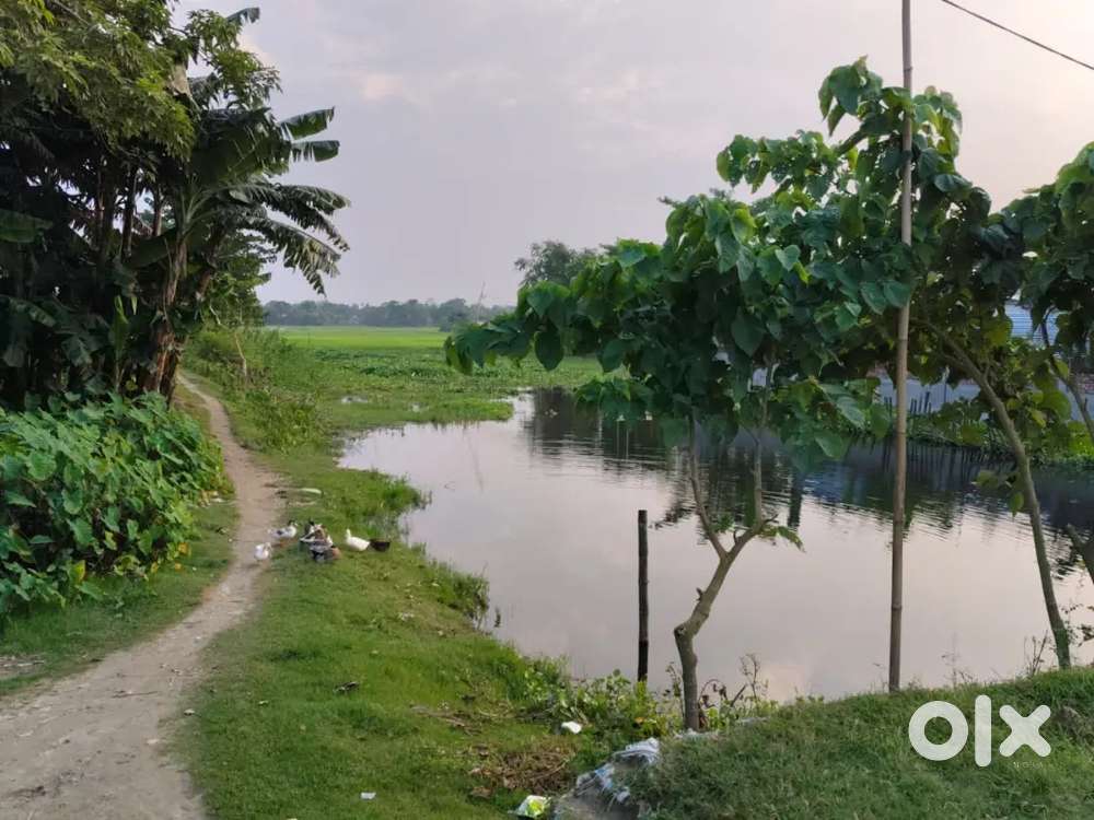 Land for Sale-Prime Location Bagaijanpara