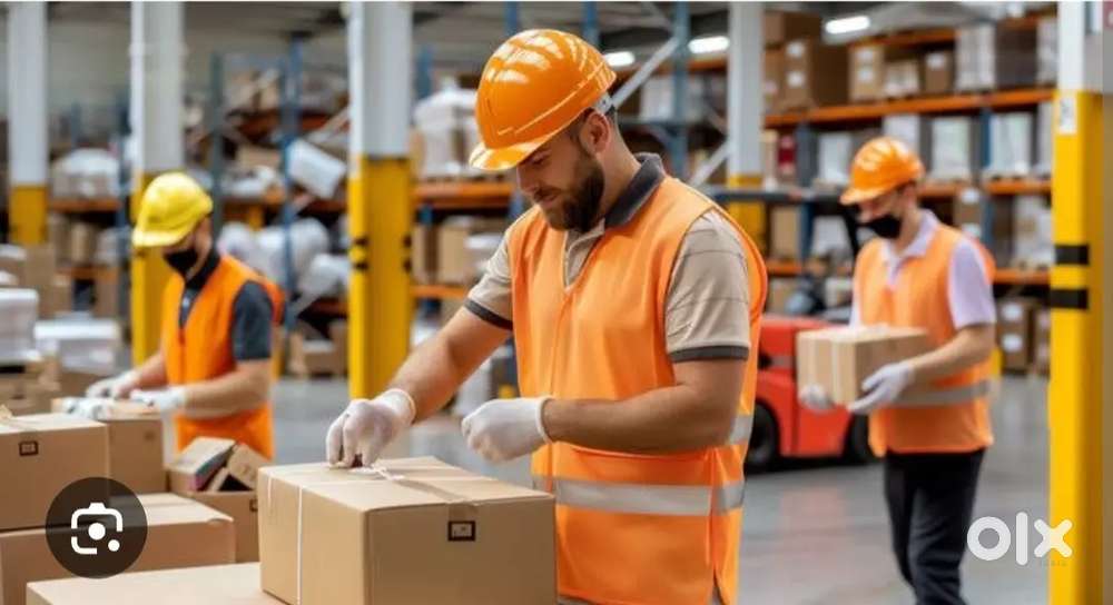 Wanted Picker Packer (Mogappair Network)