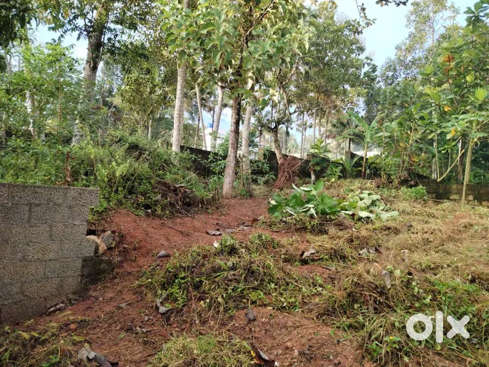 House plot for sale, urgent sale
