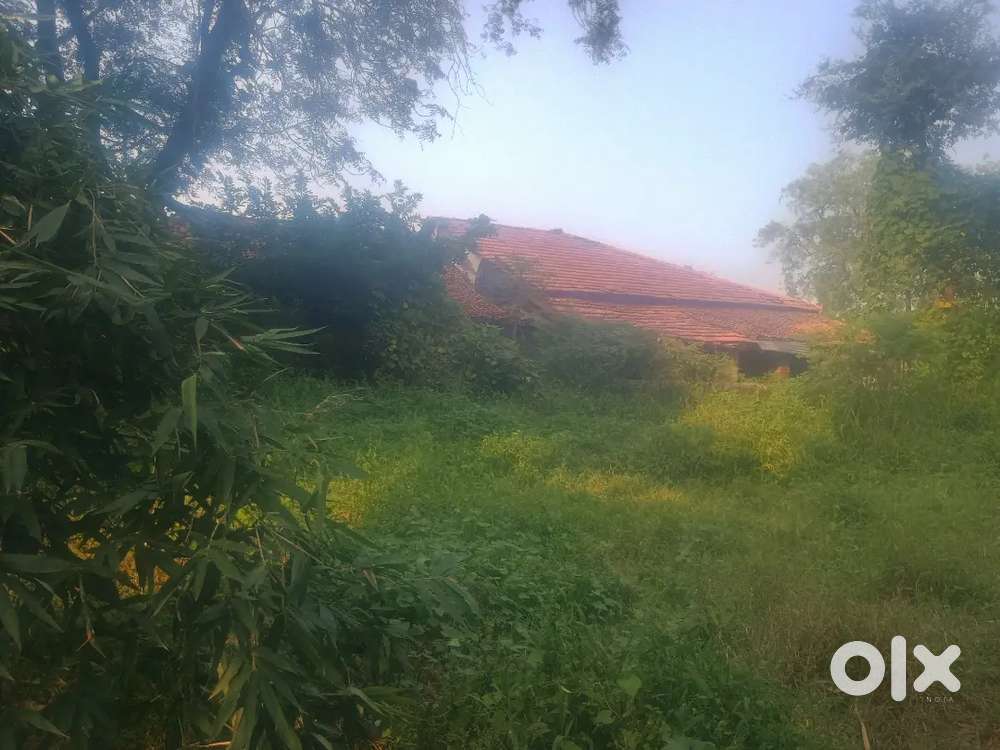 44 dhismil zameen hai sagra me rode se laga nahi hai