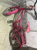 Neelam cycle for sale strong make