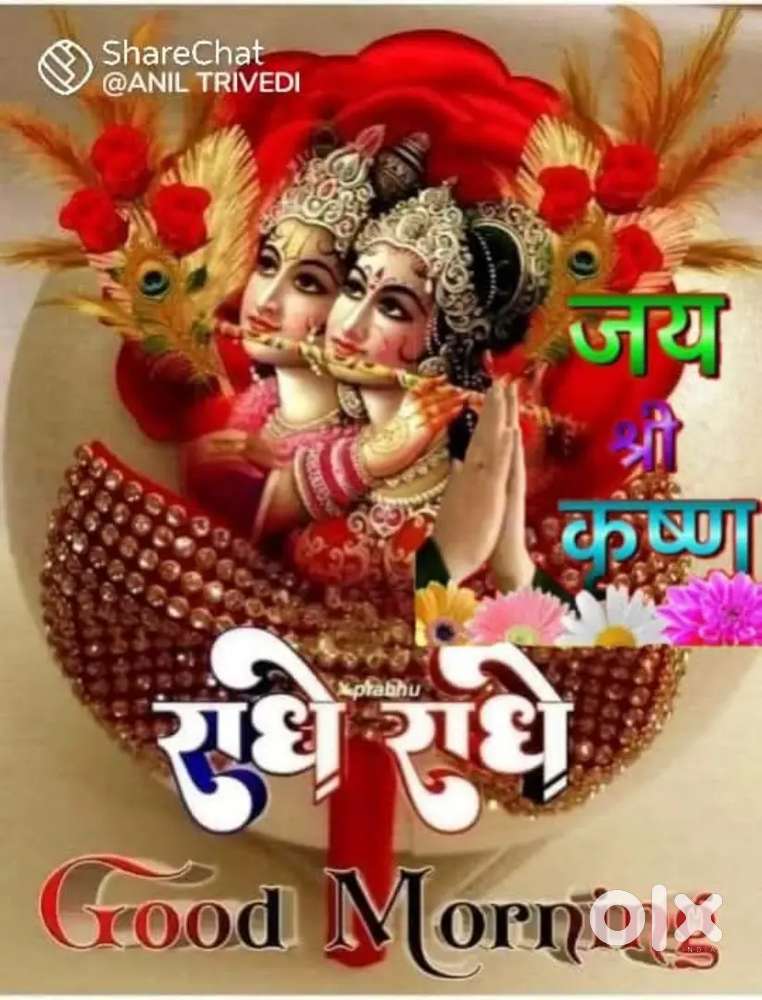 Ghar ke kam ke liye med chahie subah Sham Tak 8000 aur ful time 10000