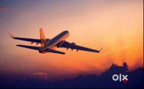 URGENT REQUIREMENT FOR TICKETING EXECUTIVE AND GROUND STAFF IN AIRPORT