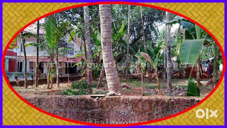6 cents Residential plot in near KARAPARAMBU - Canal Road