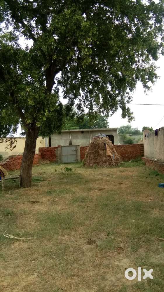 Notri ka plot hai very urgent 335 gaj ka hai 35 futa rasta hai