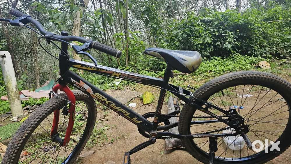 Skyfly xrider cycle for sale