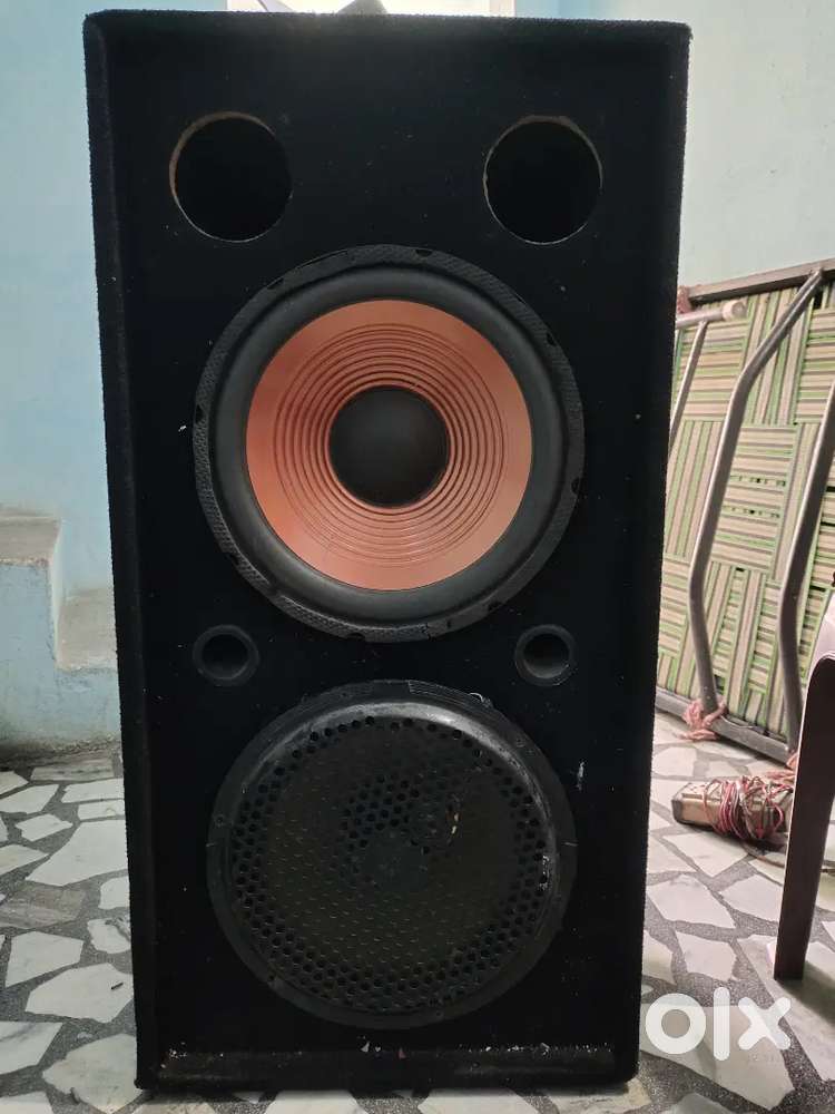 12 inch speaker