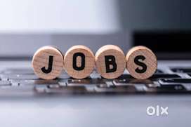 Gpay Sales Executive do onboarding process and revisits your near by