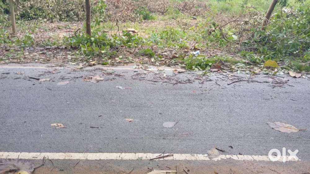 Narsipatnam kenwin school