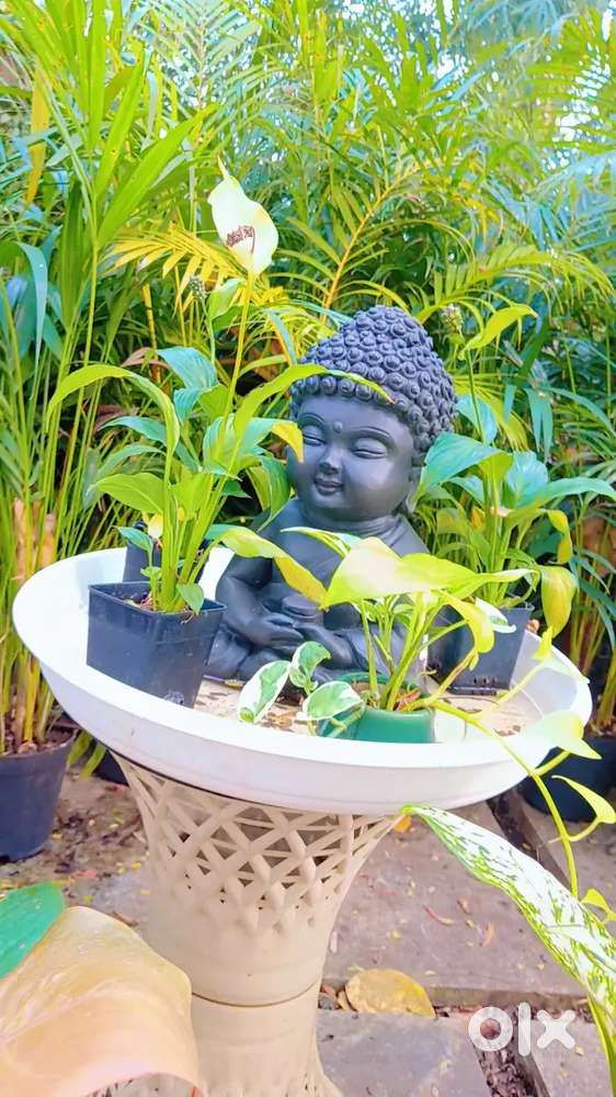 Wanted urgently  female therapist in my zen Wellness beauty spa