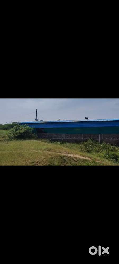 नवीन शेड विकणे आहे