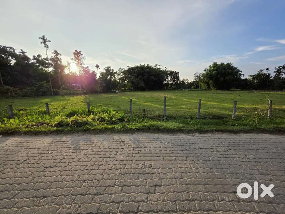2 Bigha Myadi Residential Plot for sale in Dhemaji Town.