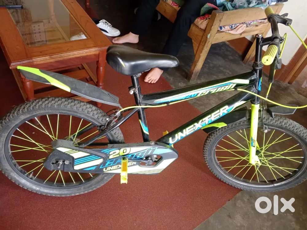 Bycycle unexter