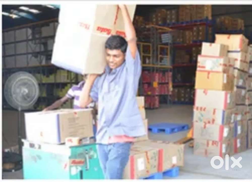 Picker packer - porur - anuradha
