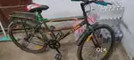 Cycle - 1 year old