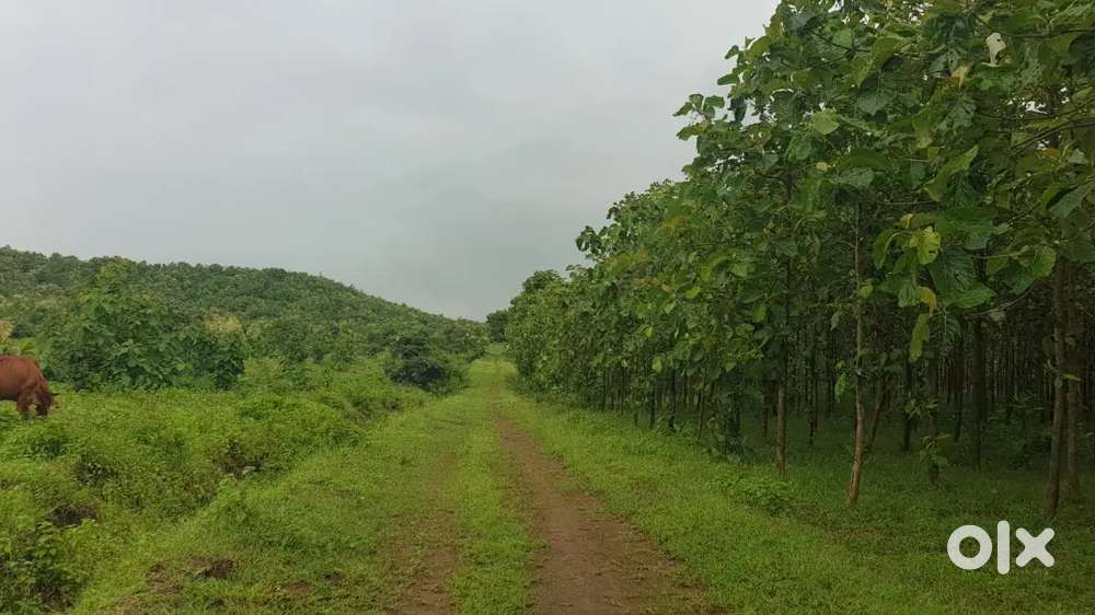 प्रकृति के मध्य अपना फार्मलेंड खरीदें वो भी शानदार किराये के साथ