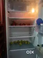 A well conditioned 175 L freeze for Resell