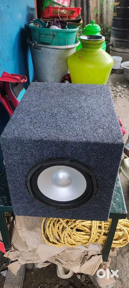 Dainty 8 inch subwoofer