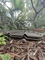 Roofing asbestos sheets