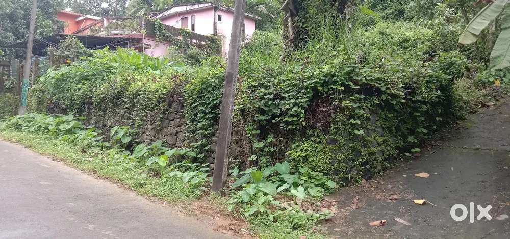 20 cent plot for sale