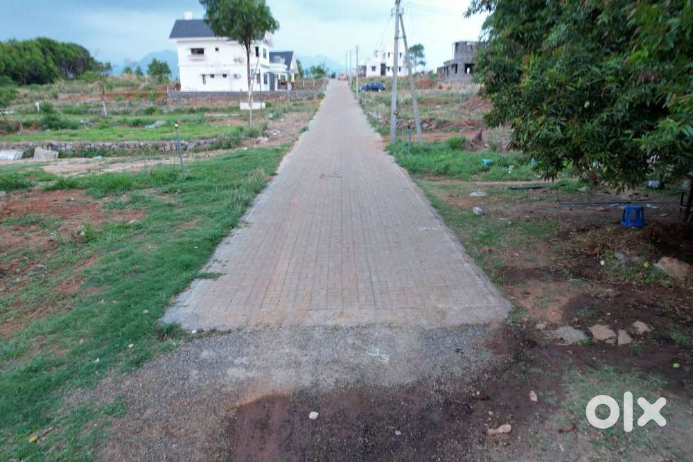 House plot for sale in Elappully,Palakkad