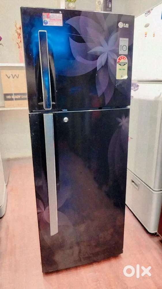 LG 258 L 4Star Frost Free Double Door Refrigerator Free Delivery Stand
