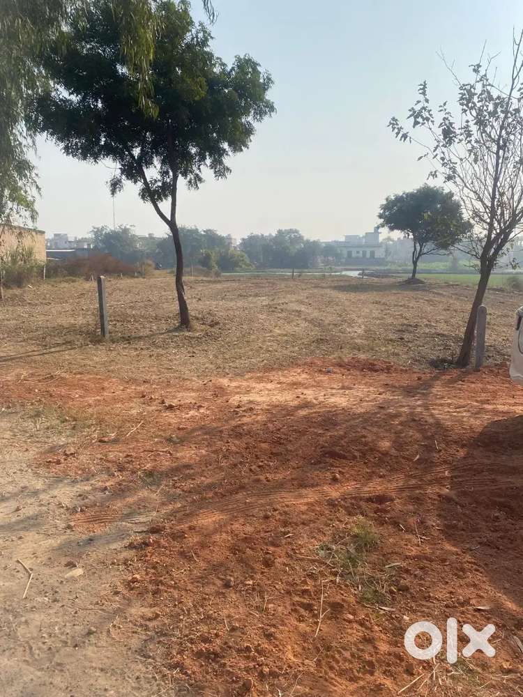 On 75 feet road commercial  and residential 1 karnal village salempur