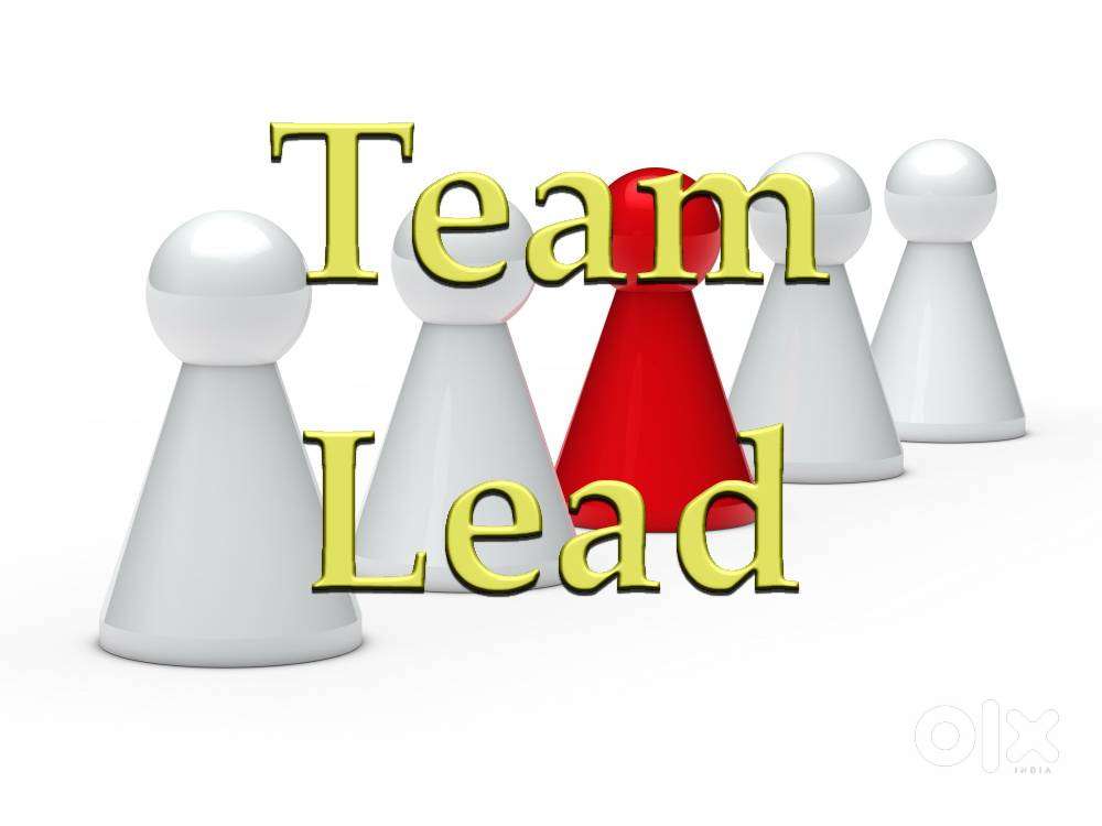 Team Leader  team handling exp