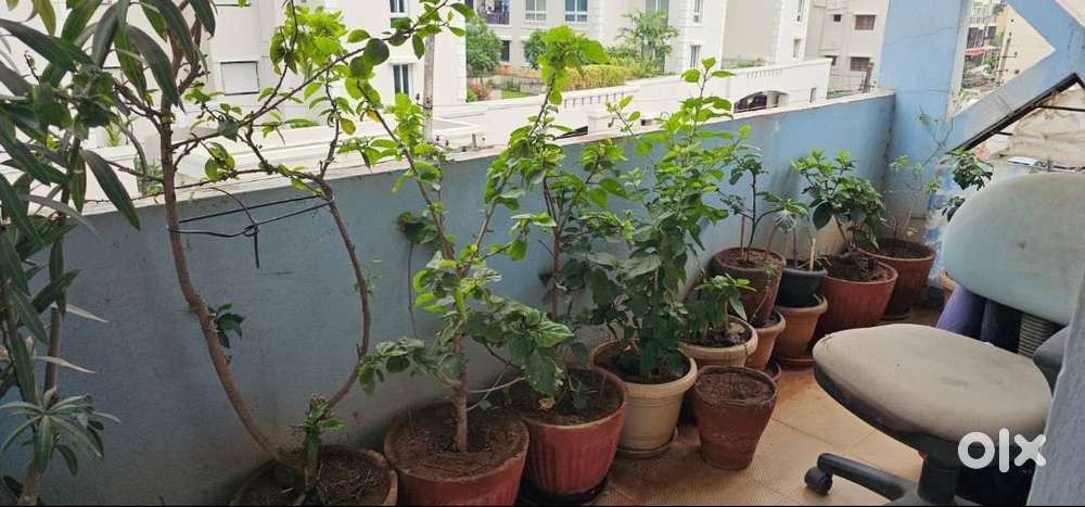 2bhk house for lease