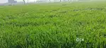 Land near new jewar highway location