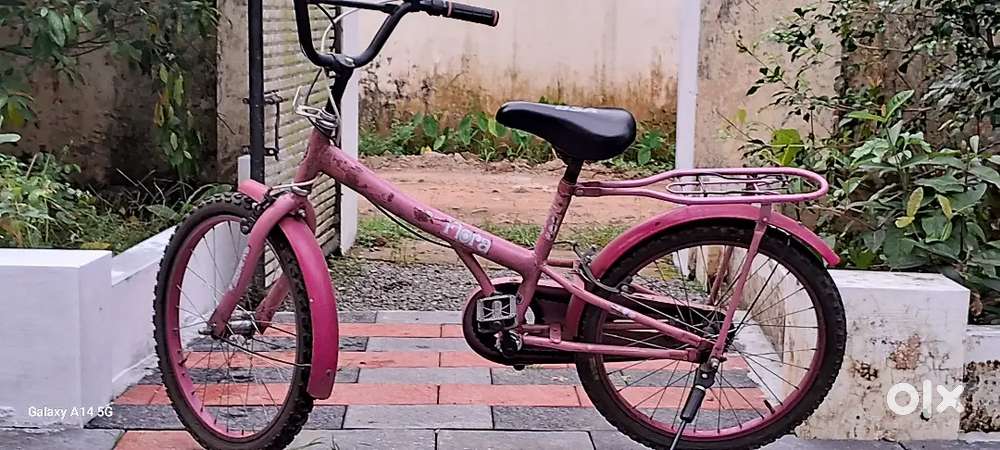 Just 3 year old bycycle